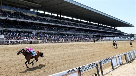 Belmont Stakes payout breakdown: How much prize .